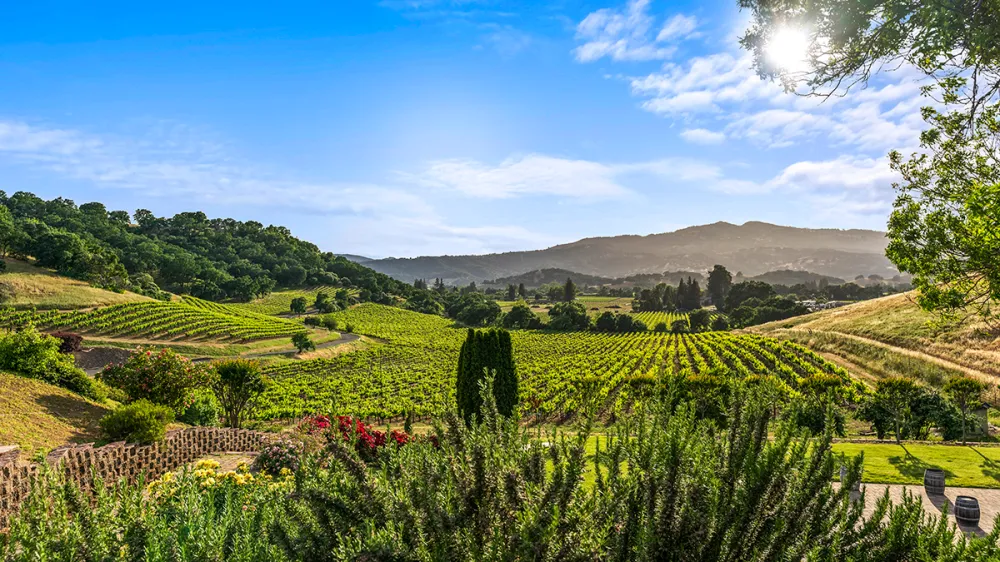 Vezér Family Vineyards
