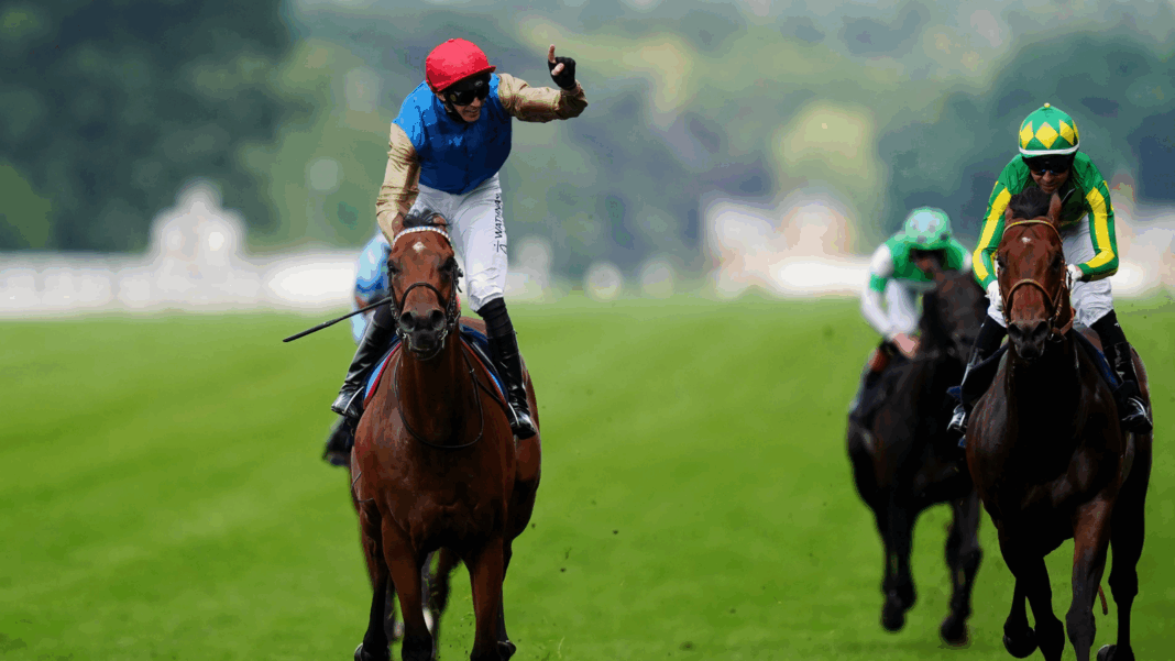 Lazzat beats Satono Reve, Rebel's Romance, Get It wins